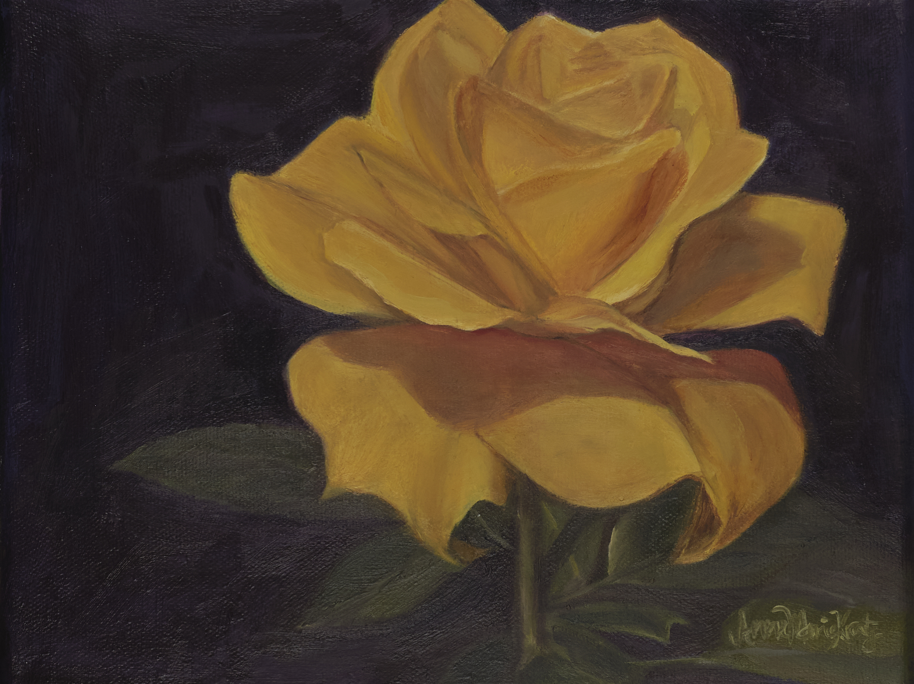 yellow rose ii